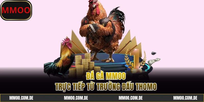 Tận hưởng đá gà MMOO kịch tính từng phút giây